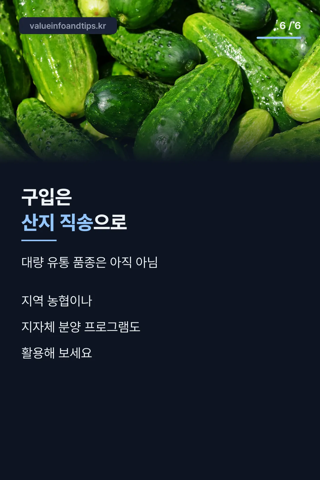 구입처 안내