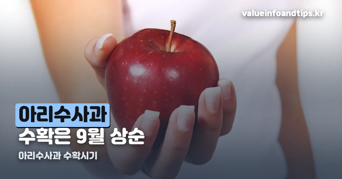 아리수사과 수확시기 정리 썸네일