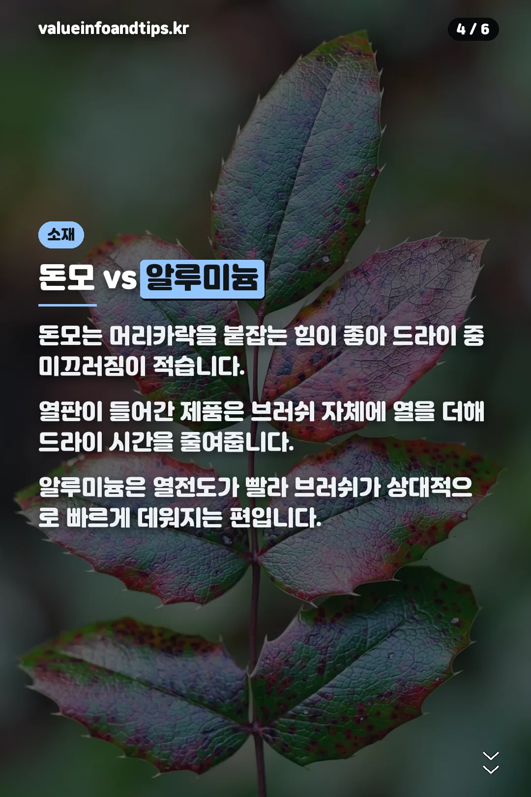돈모 vs 알루미늄 소재