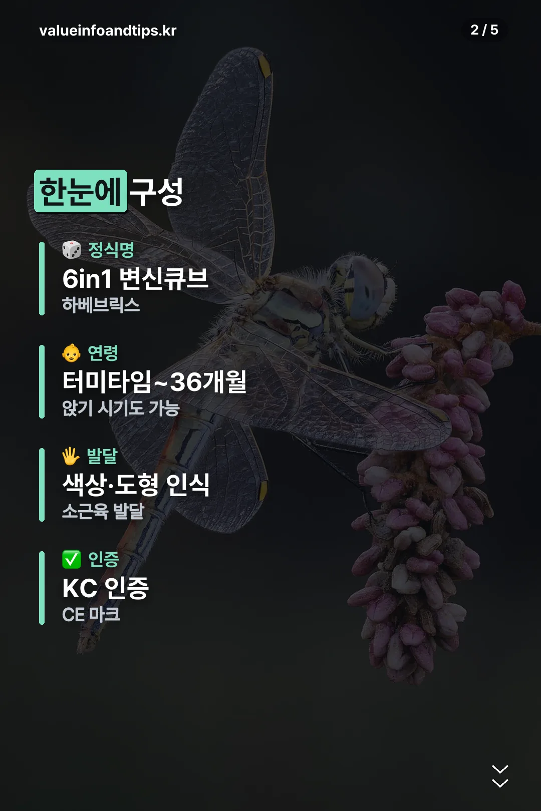 구성 한눈에 보기