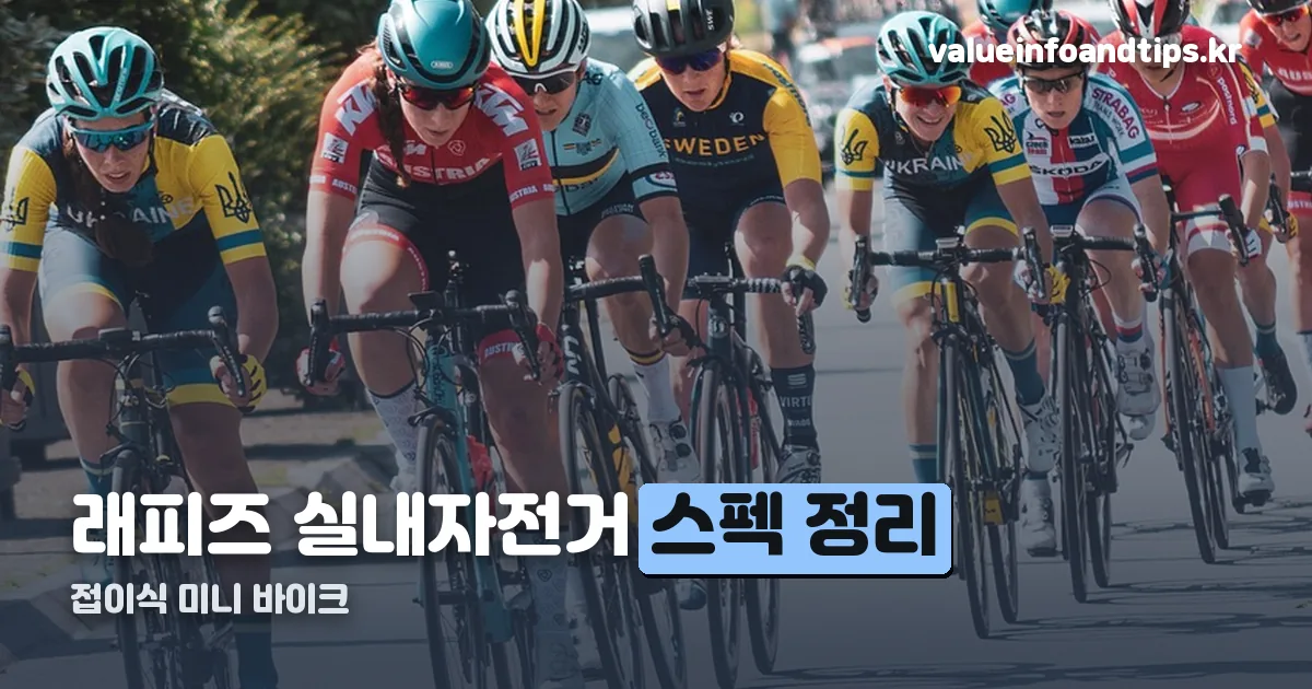 래피즈 실내자전거 정리 썸네일