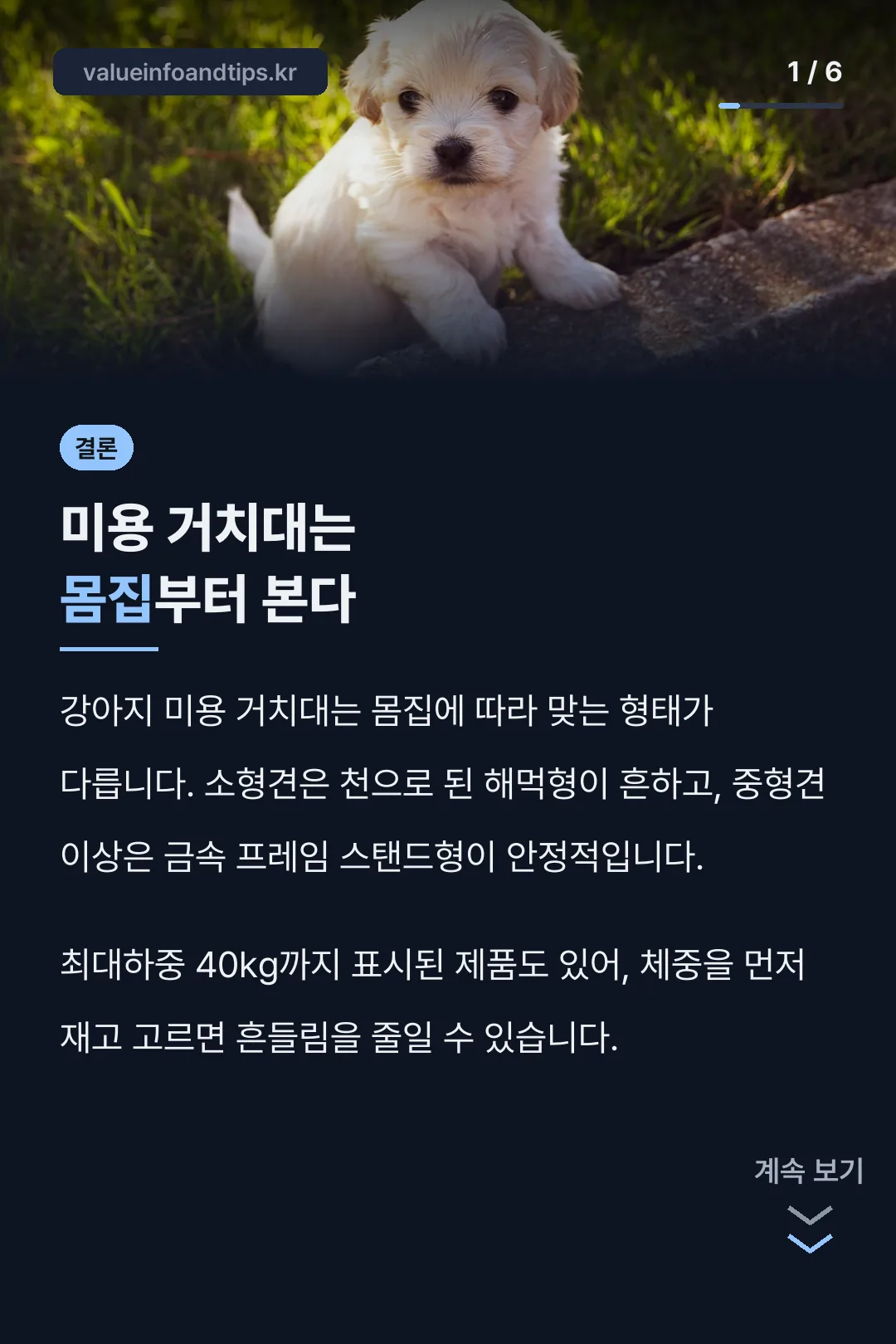강아지 미용 거치대 비교 표지