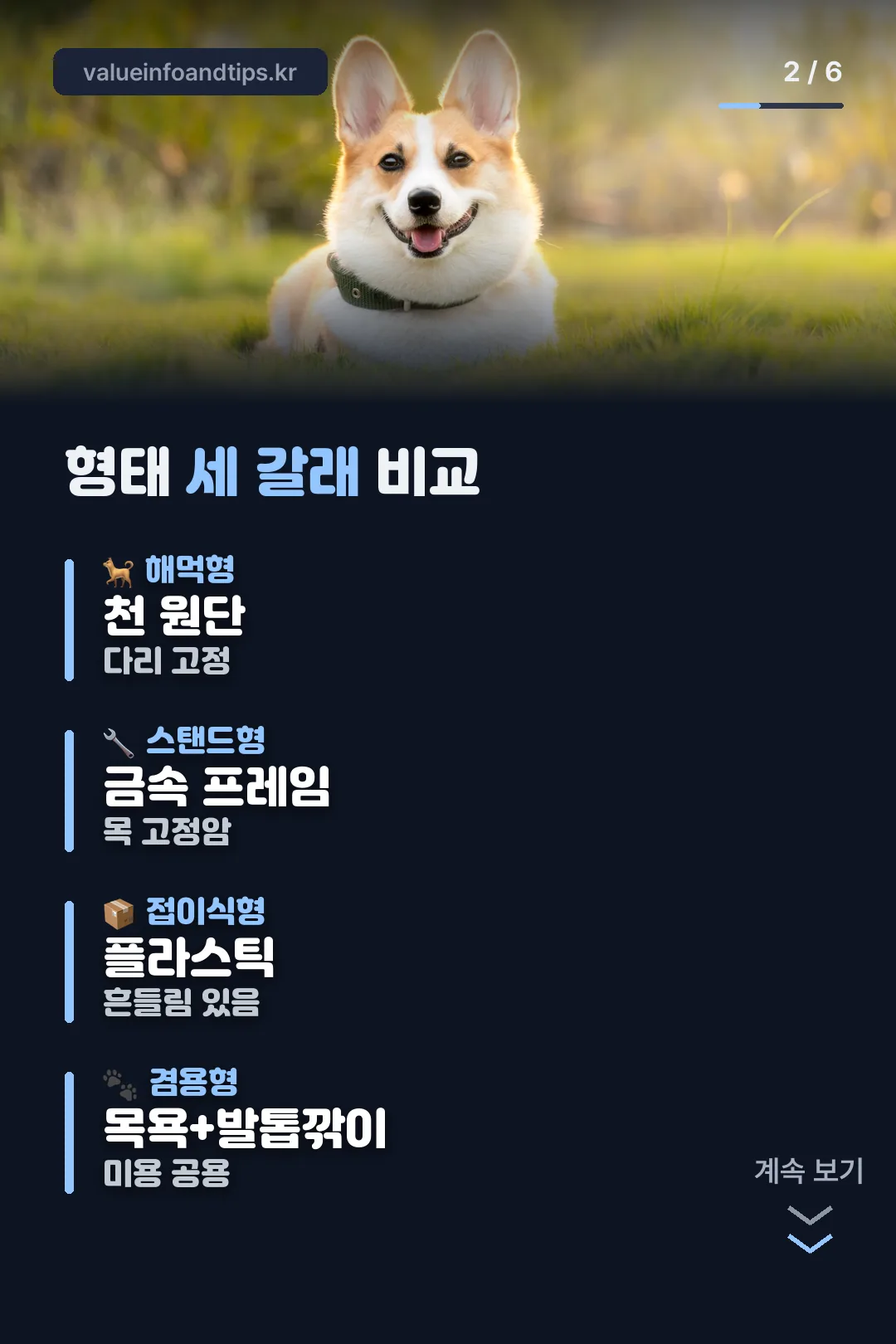 형태 세 갈래 비교