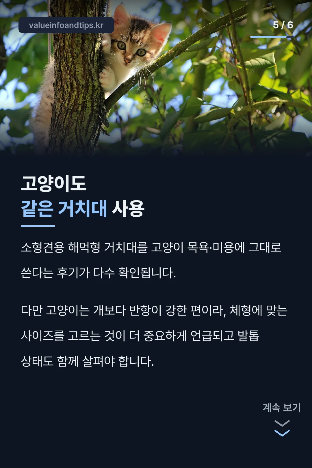 고양이 사용 후기