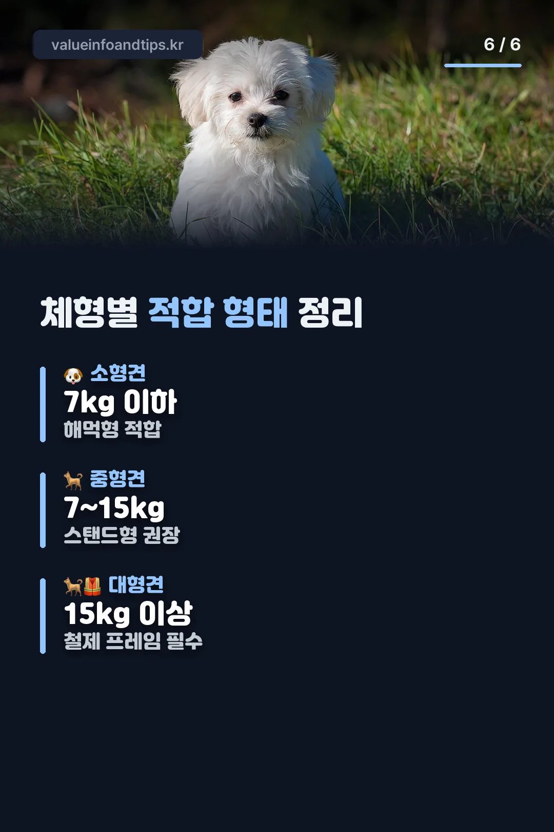 체형별 적합 형태