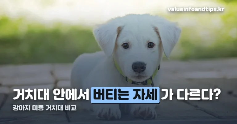 강아지 미용 거치대 정리 썸네일