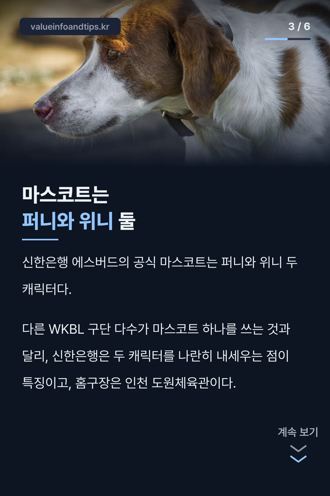 마스코트 소개